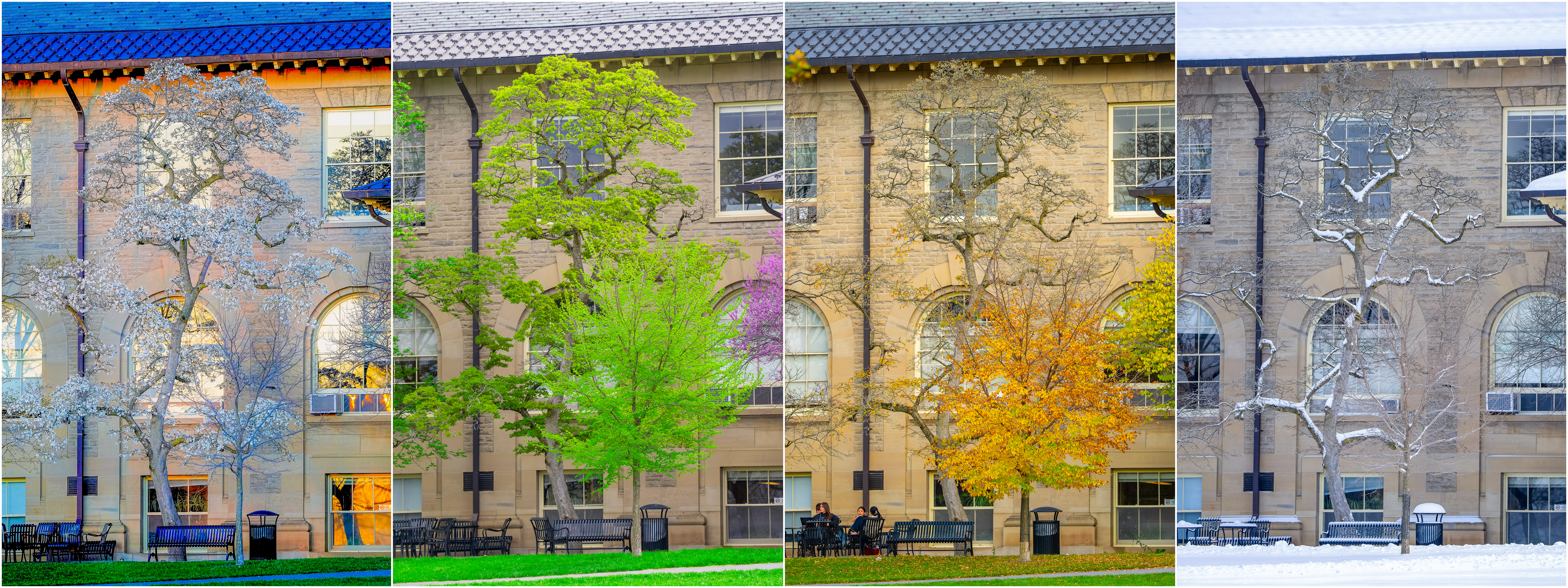 Goldwin Smith Hall